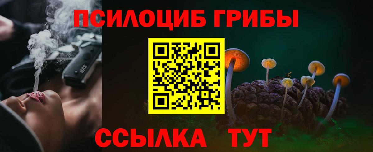 Галлюциногенные грибы Psilocybe  Вход с VPN  Лабинск 